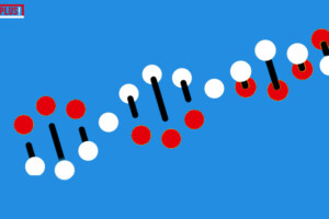 Epigenetica | DoesPlus!