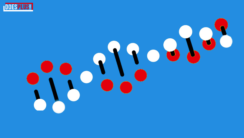 Epigenetica | DoesPlus!