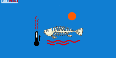 Oceaantop 2025 | DoesPlus!