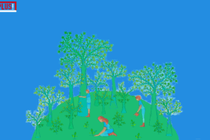 Natuurherstel | DoesPlus!