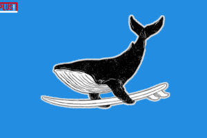 Hebben dieren bewustzijn? | DoesPlus!