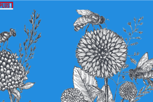 bloemenwei | DoesPlus!