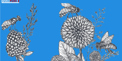 bloemenwei | DoesPlus!