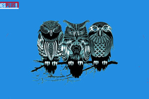 Wisdomkeepers | DoesPlus!
