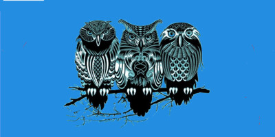 Wisdomkeepers | DoesPlus!