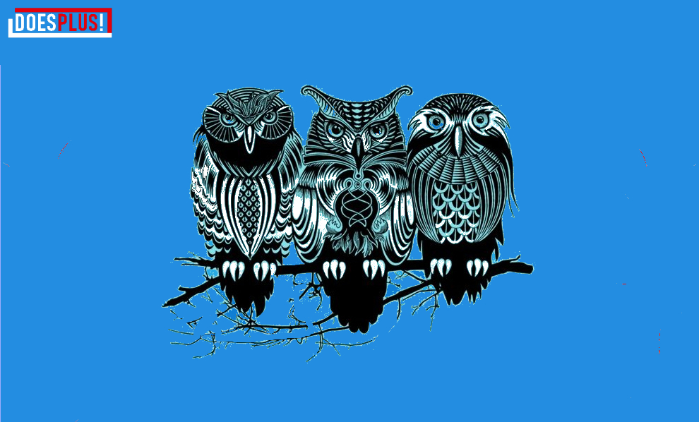 Wisdomkeepers | DoesPlus!