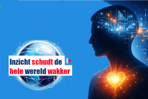 Inzicht | DoesPlus!