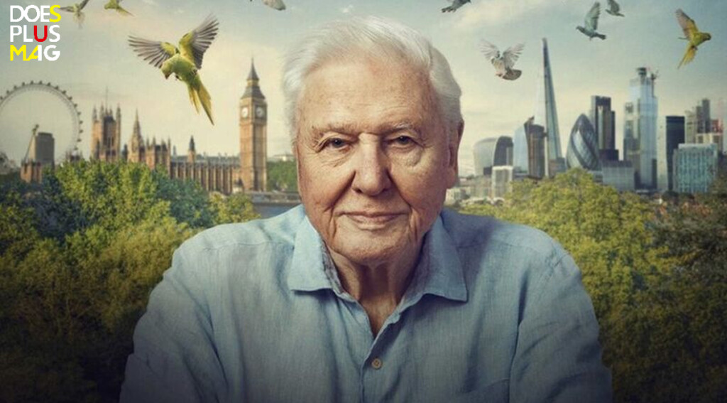 David Attenborough | DoesPlus!