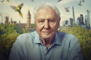 David Attenborough | DoesPlus!