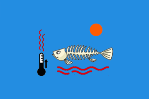 Oceaantop 2025 | DoesPlus!