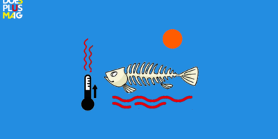oceaan Oceaantop 2025 | DoesPlus!