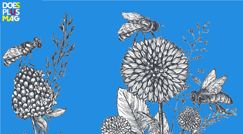 Verlangend naar een bloemenwei | DoesPlus!