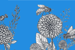 Verlangend naar een bloemenwei | DoesPlus!