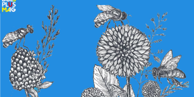 wildebloemen Verlangend naar een bloemenwei | DoesPlus!