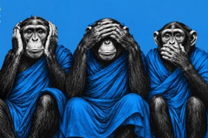 Horen, zien en zwijgen | DoesPlus!