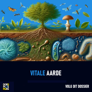 Vitale aarde | DoesPlus!