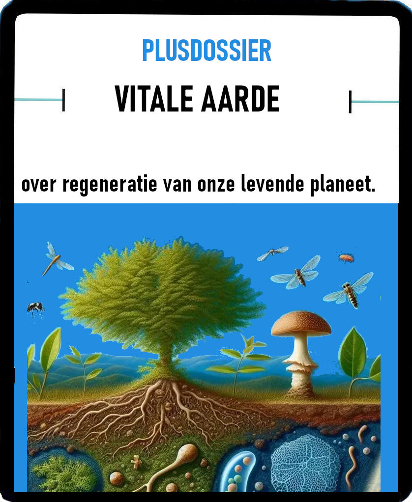 Vitale aarde | DoesPlus!
