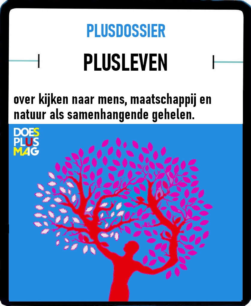 Plusleven | DoesPlus!