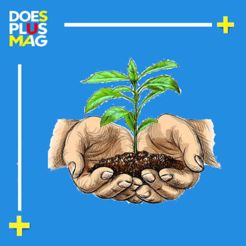 plantinhand Plant | DoesPlus!
